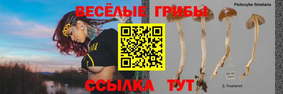 Галлюциногенные грибы прущие грибы Новошахтинск